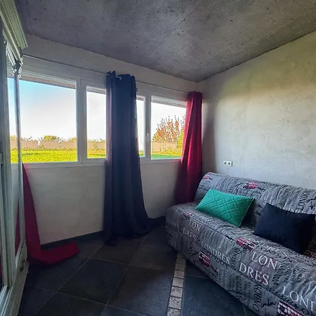 別荘 Spacieuse Avec Terrasse Et Jardin, Animaux Et Parking Admis - Fr-1-498-19